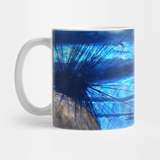 Sea Urchin Mug